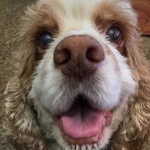 Meet your Posher, Tim n missy